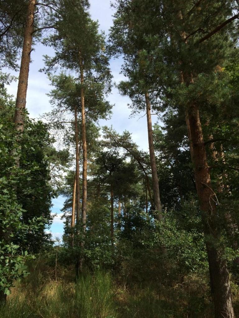Apartament Alte Schmiede In Denkmalgeschuetzter Hofanlage Messerich Zewnętrze zdjęcie